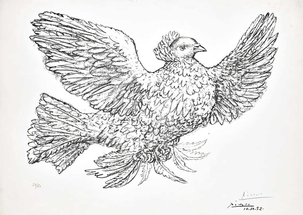 Colombe Volant (Flying Dove)