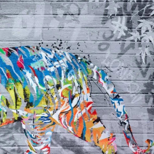 Colourful Tiger - Image 4