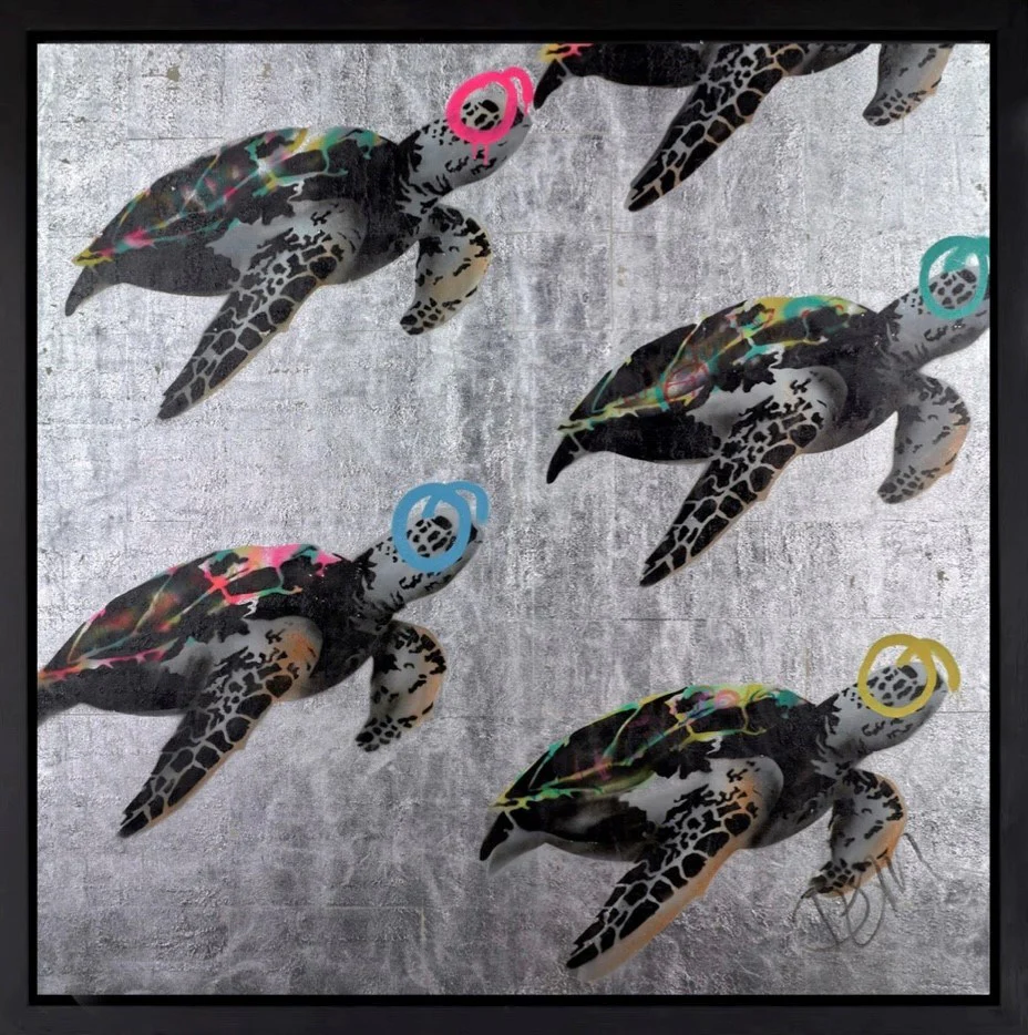 Colourful Turtles