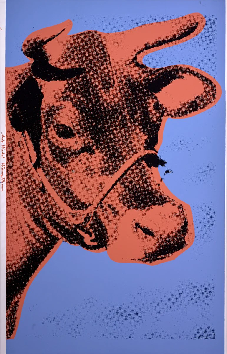Cow - Image 2