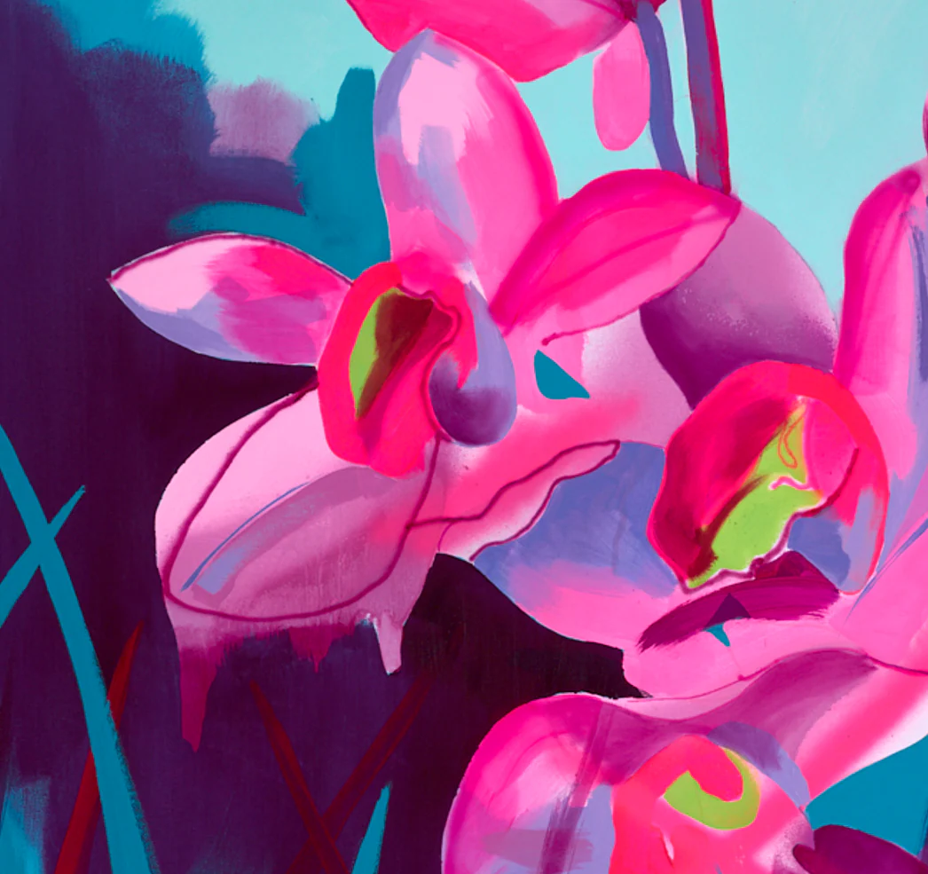 Cymbidium Eclipse - Image 3