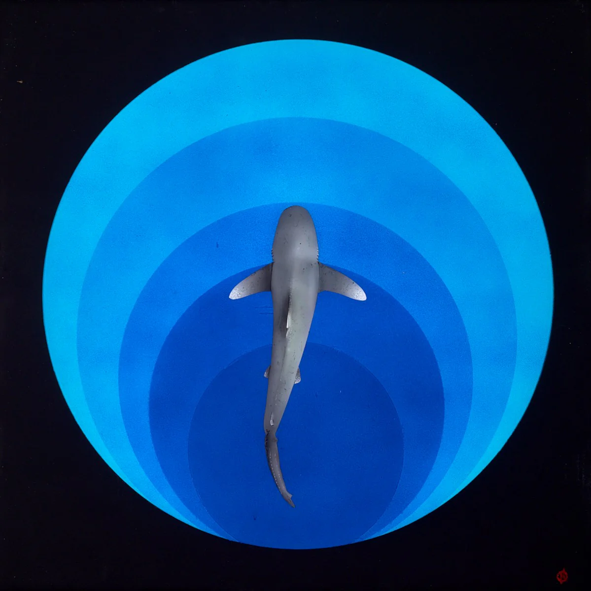 Deepness - Image 2
