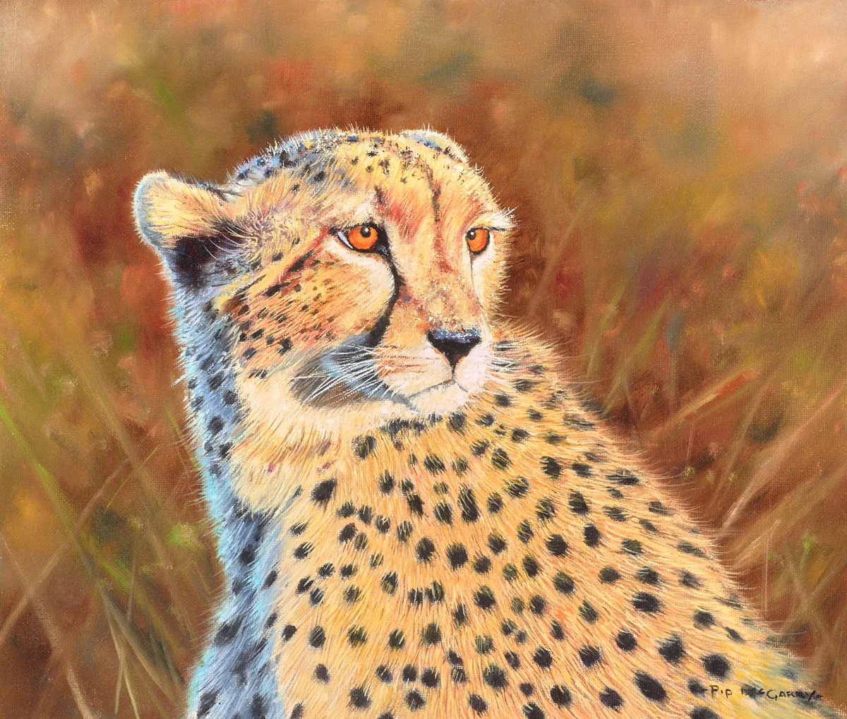 Demo "Cheetah In The Maasai Mara"