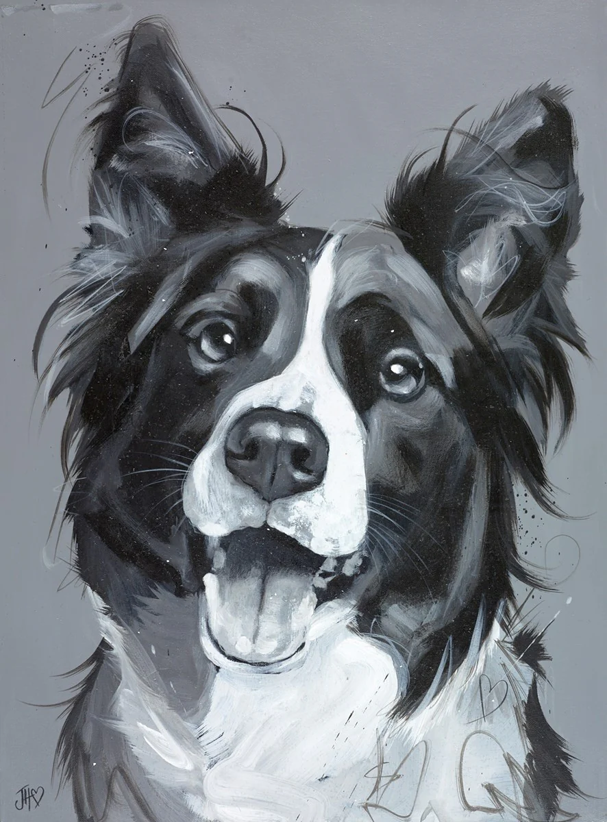 Diamonds Are A Collie's Best Friend