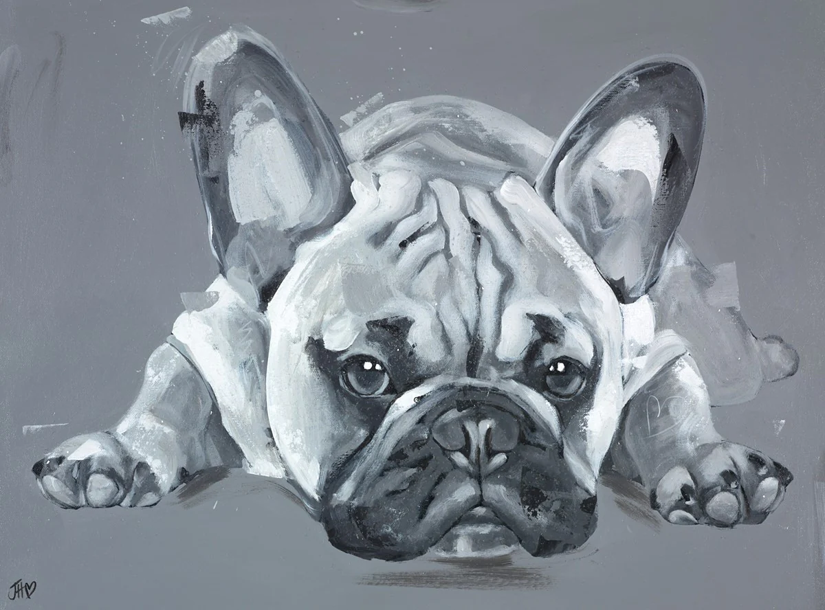 Diamonds Are A Frenchies Best Friend II