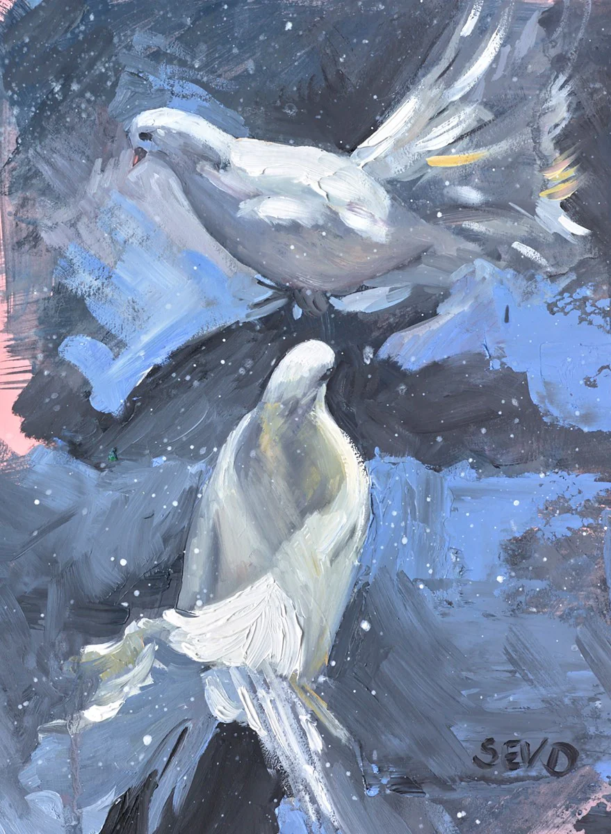 Dove Duet - Image 2