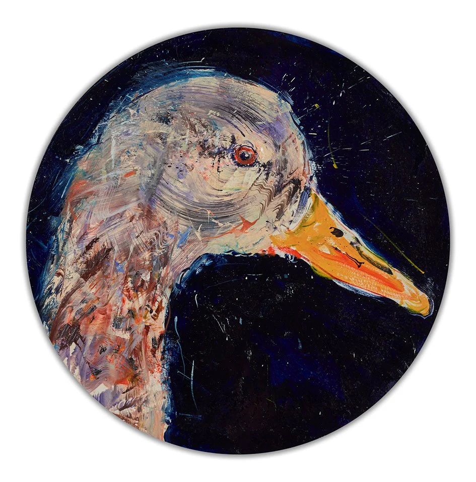 Duck Study III - Image 3