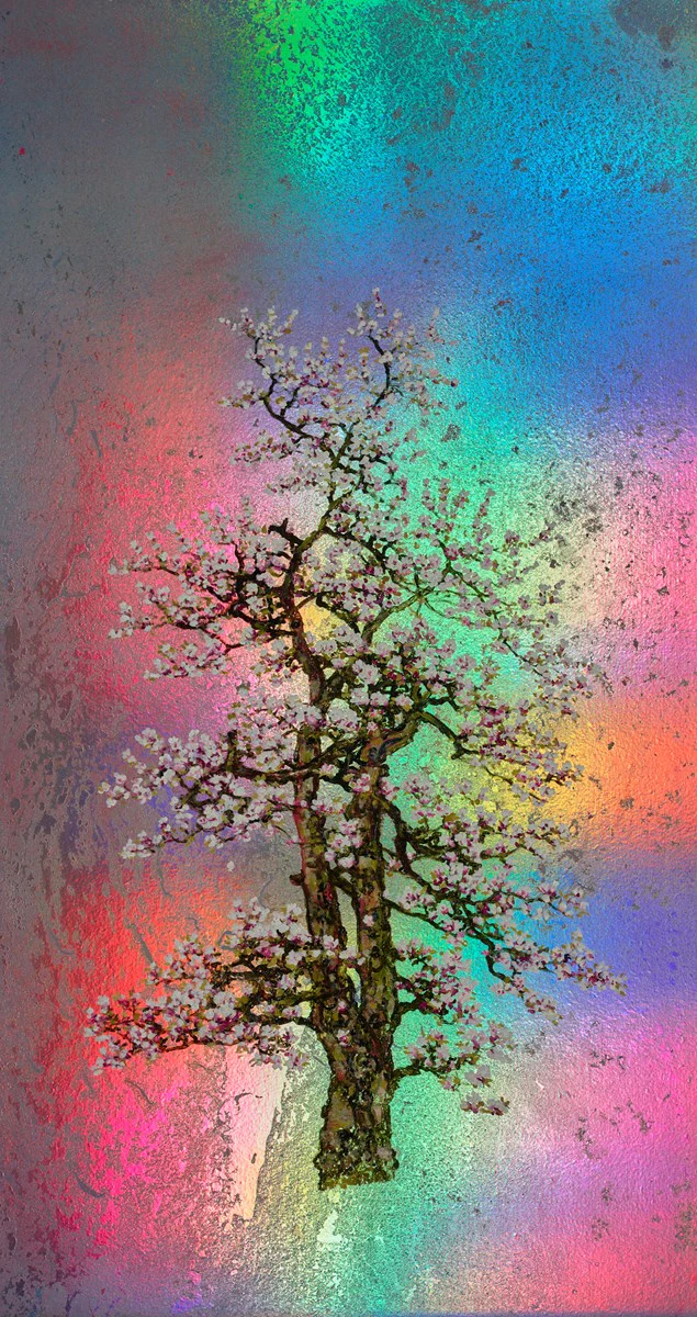 Edith, Rainbow Blossom - Image 2