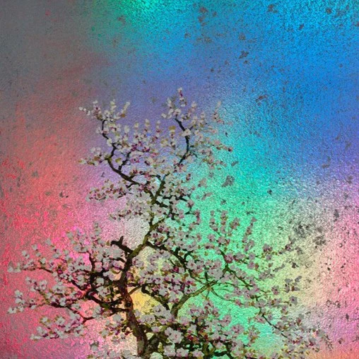 Edith, Rainbow Blossom - Image 3
