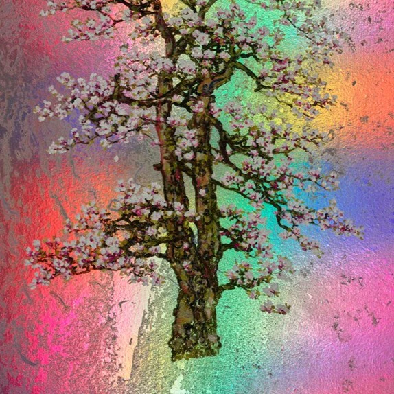 Edith, Rainbow Blossom - Image 4