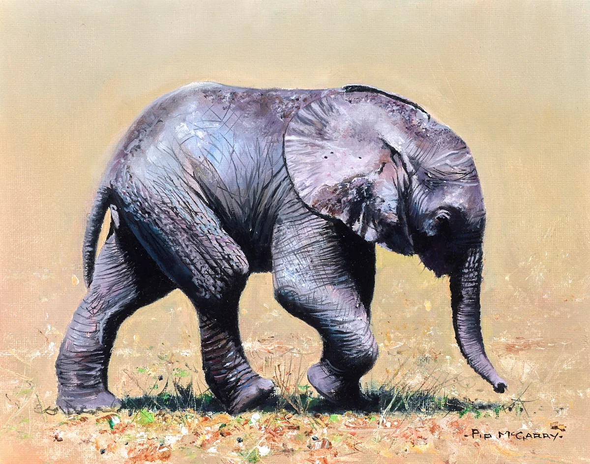 Elephant Baby - Image 2