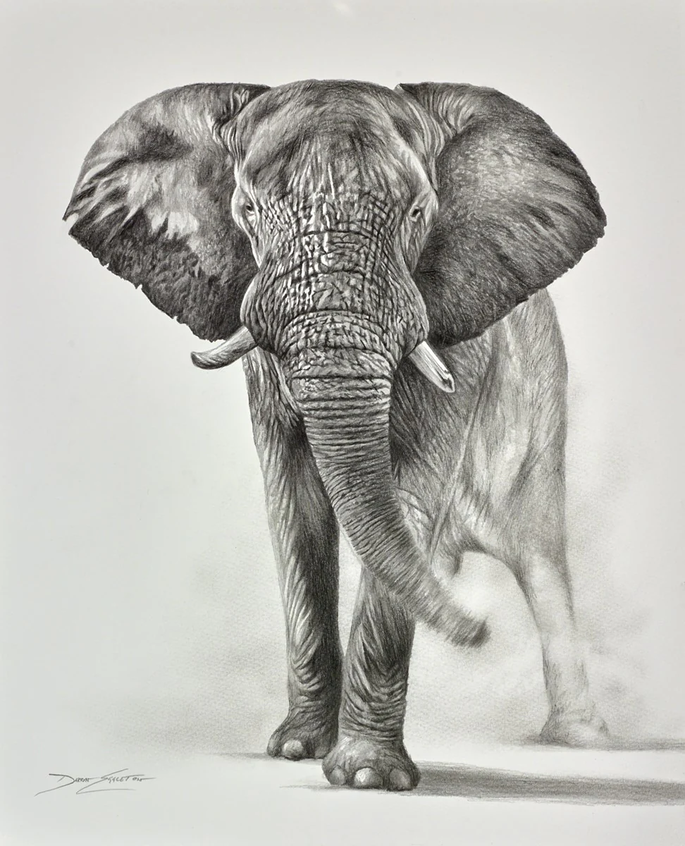 Elephant Study III