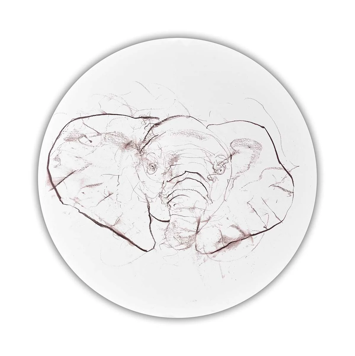Elephant Study IV