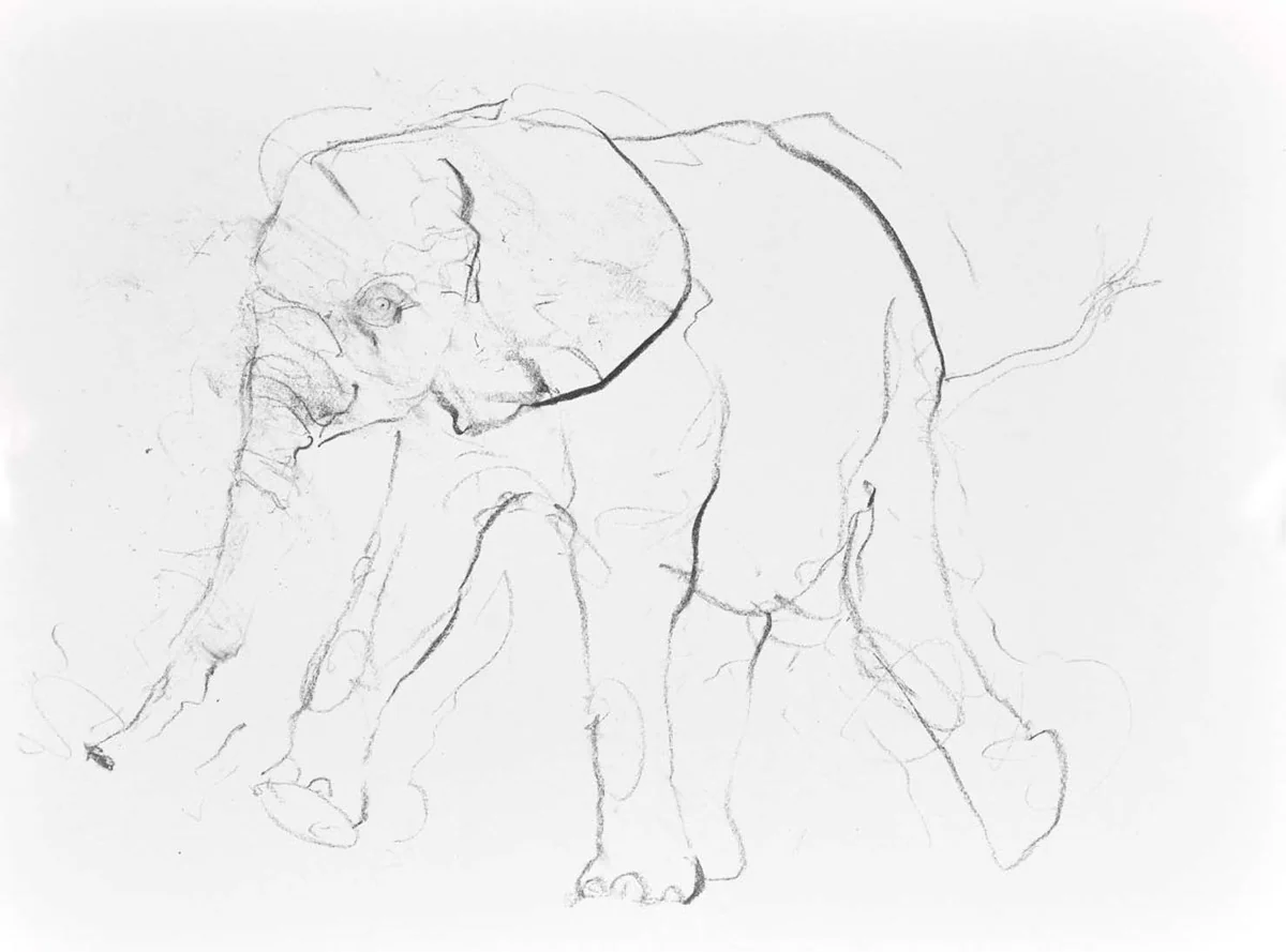 Elephant Study IX - Image 2