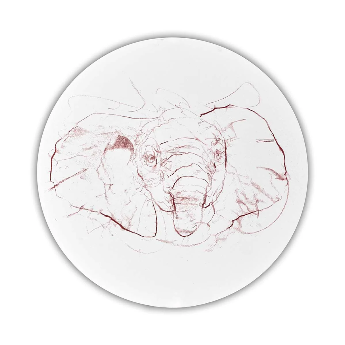 Elephant Study VI