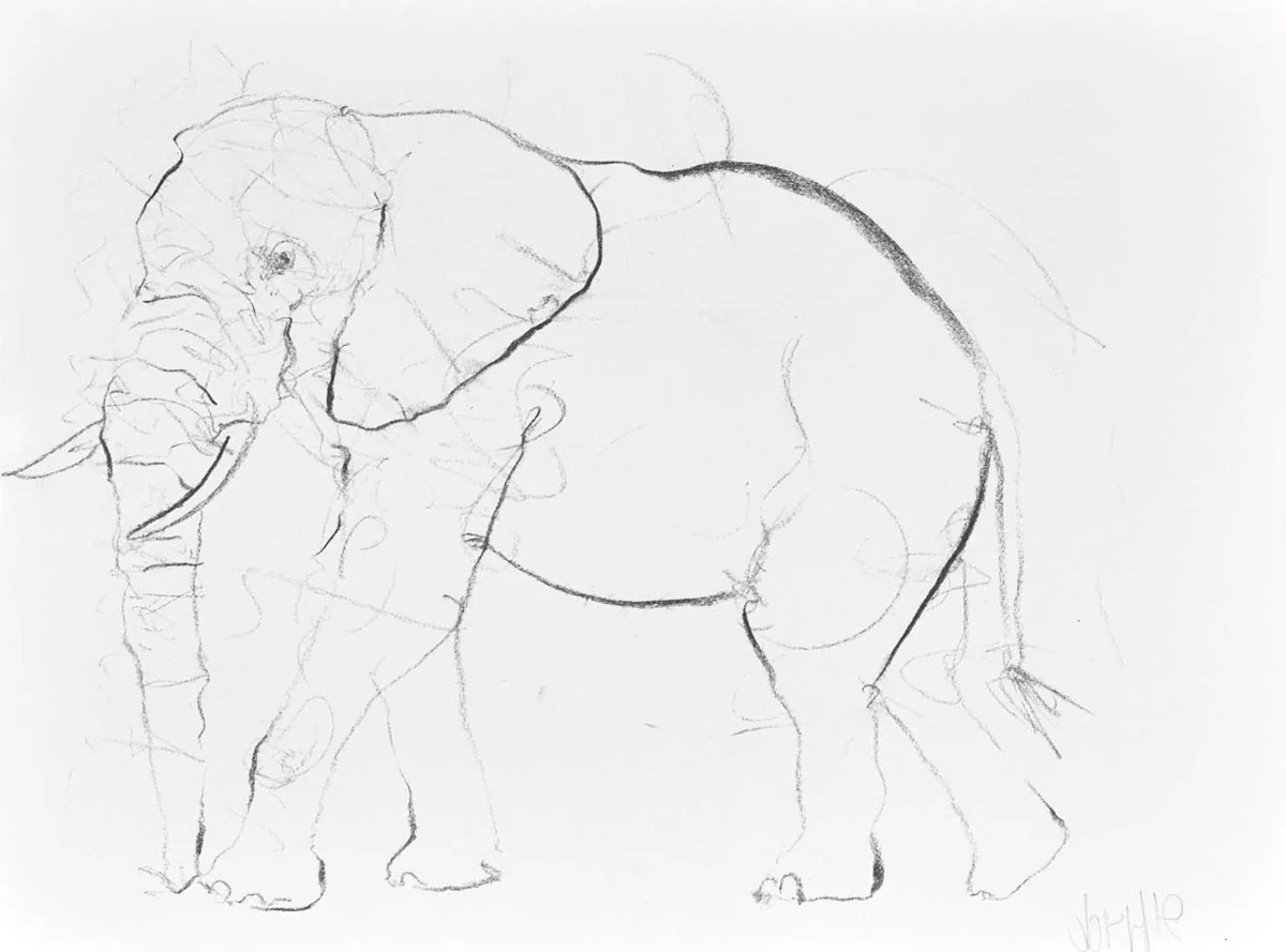 Elephant Study VII