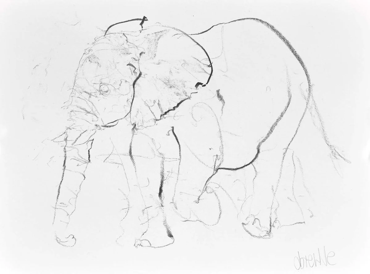 Elephant Study XIX