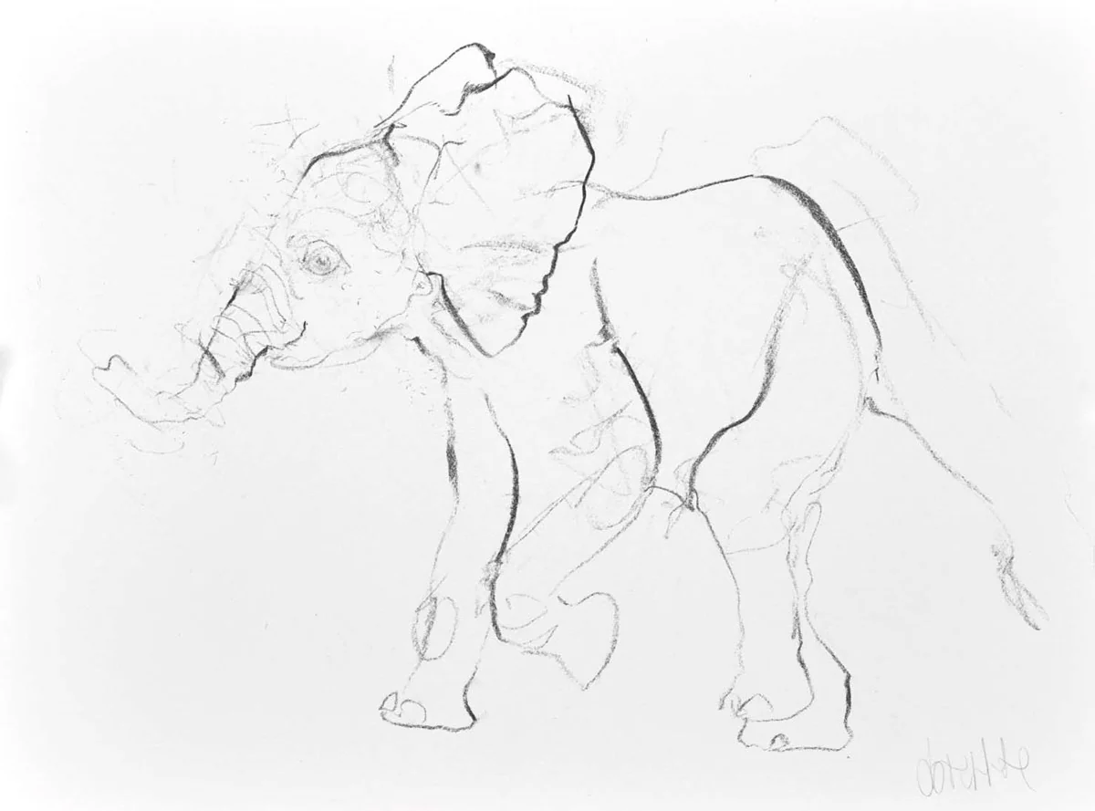 Elephant Study XVI