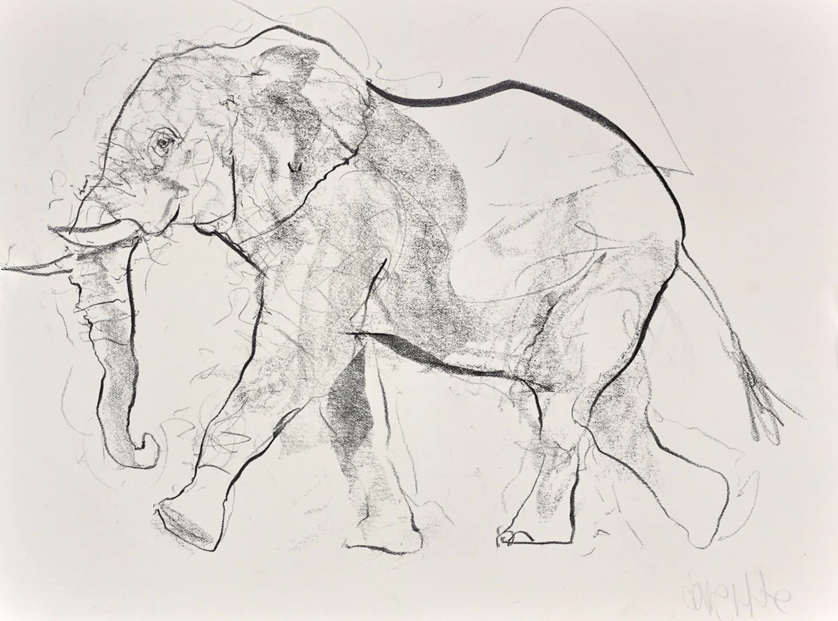 Elephant Study XXII