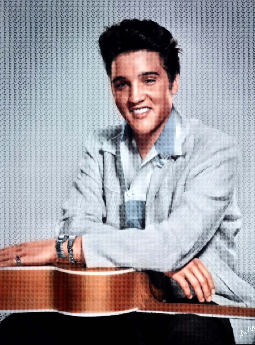 Elvis - Image 2