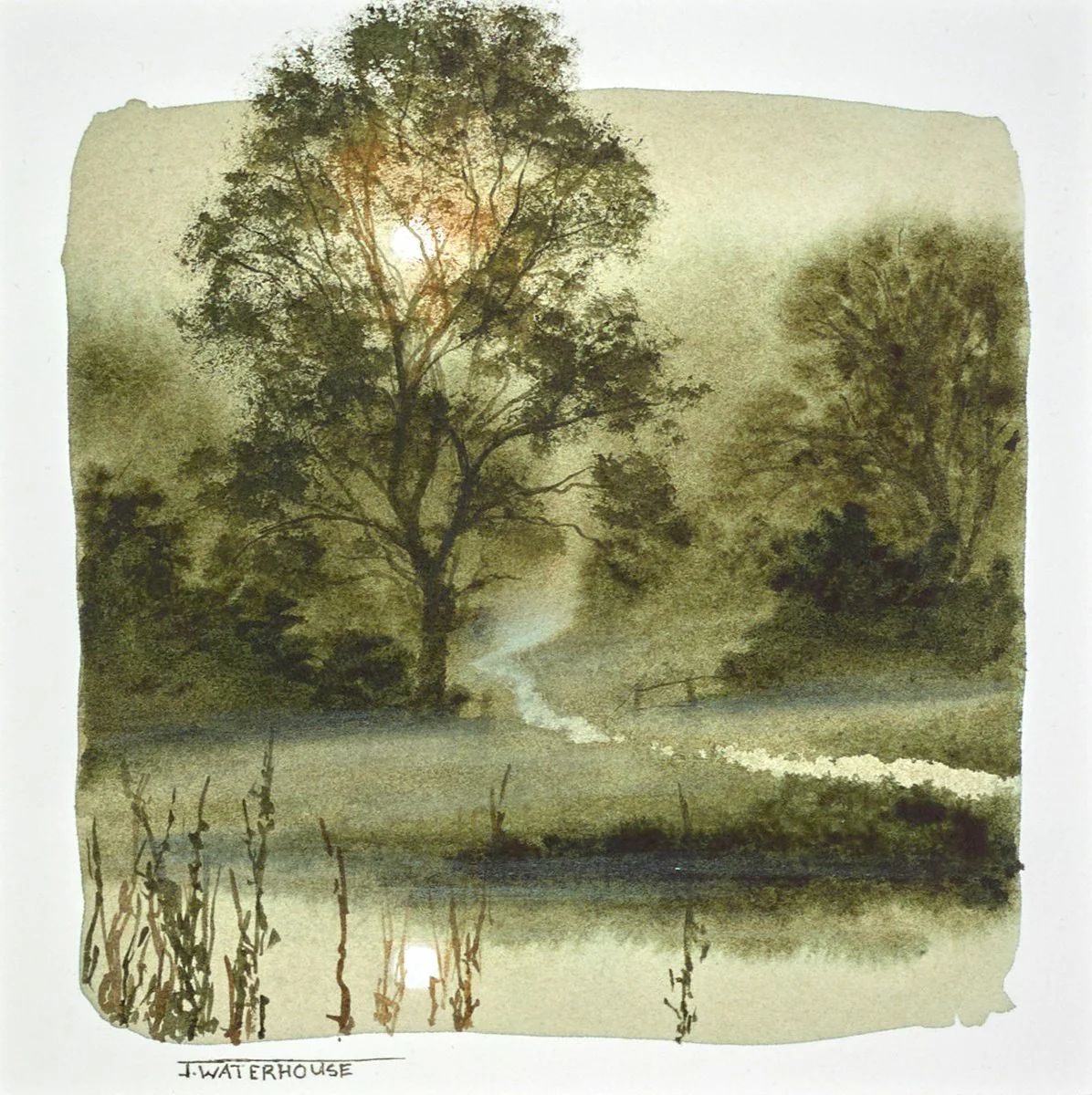 Enchanted Pathway (Study)