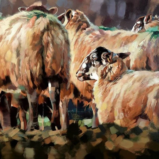 Evening Flock - Image 4