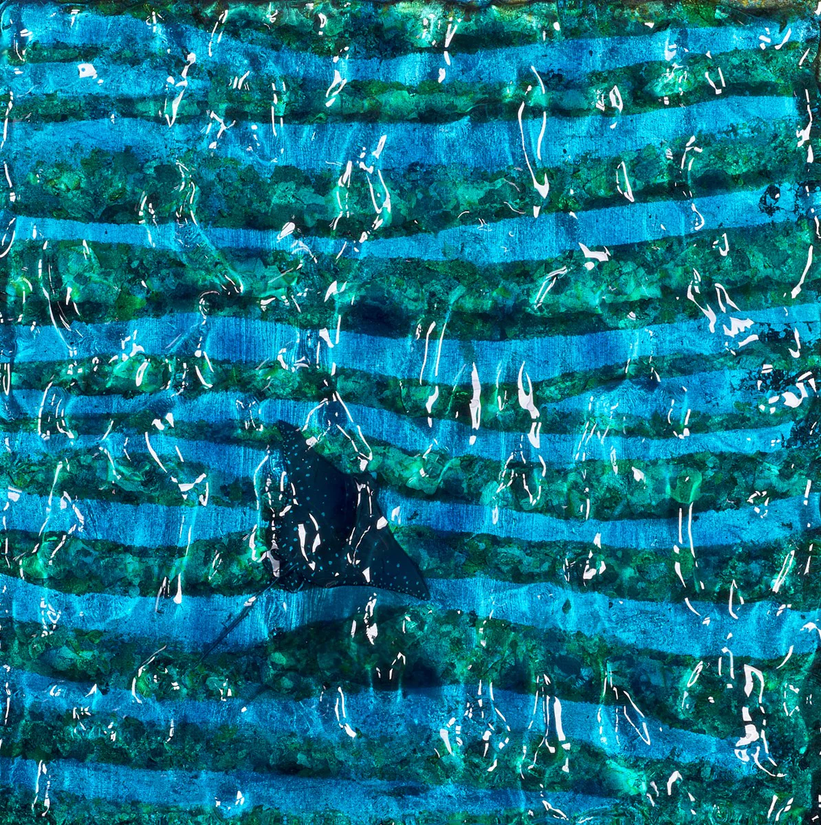 Evening Swim - Image 2