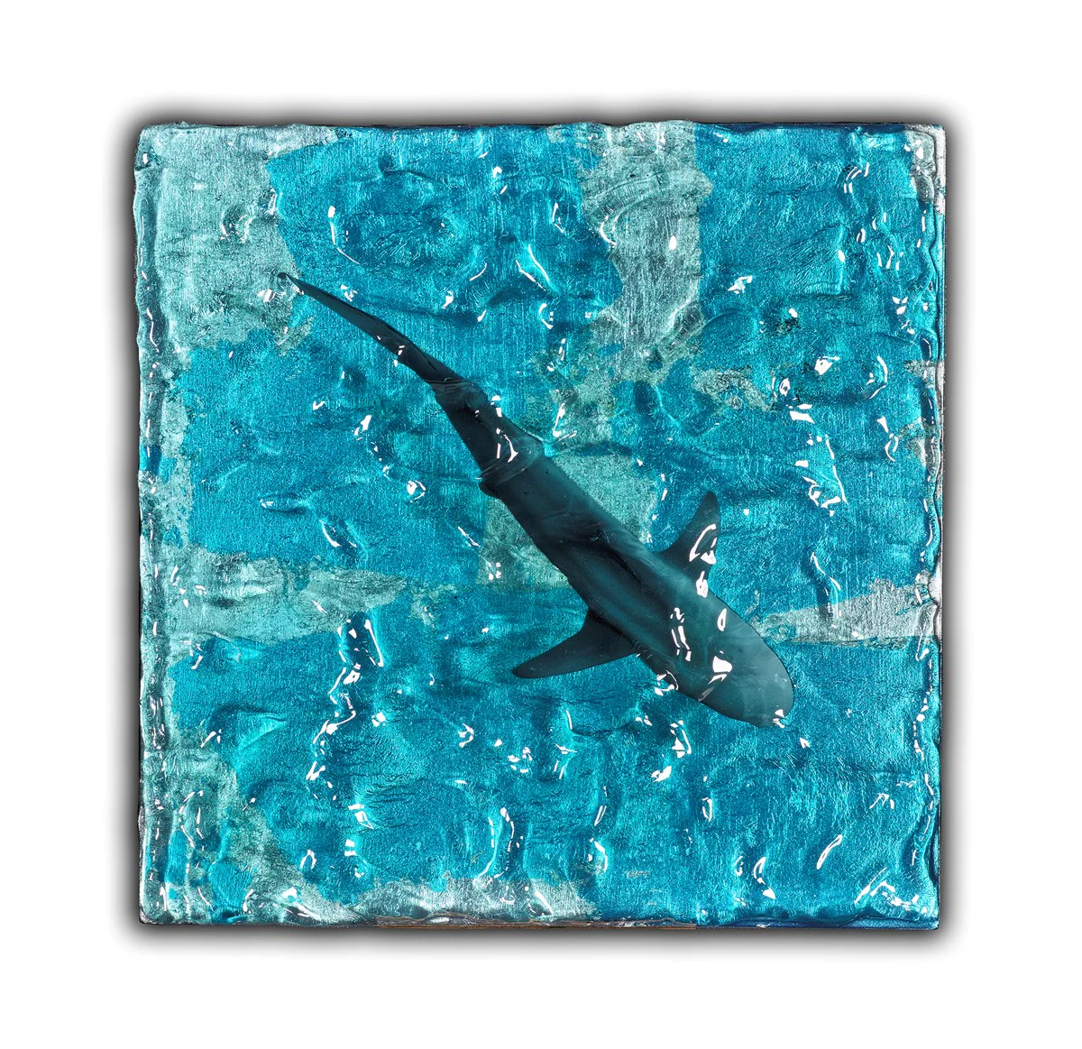 Evening Swim - Image 2