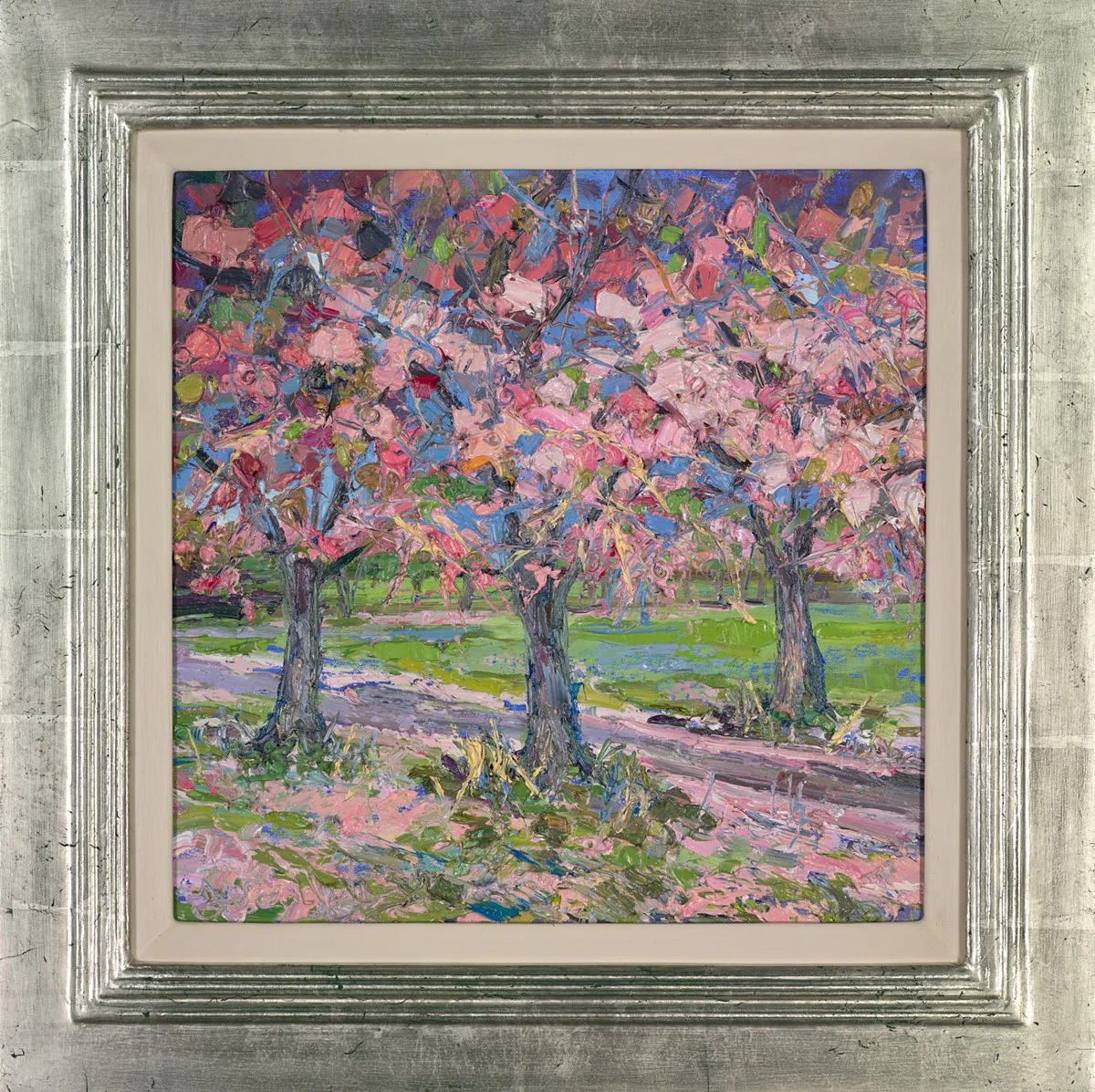 Fallen Cherry Blossom