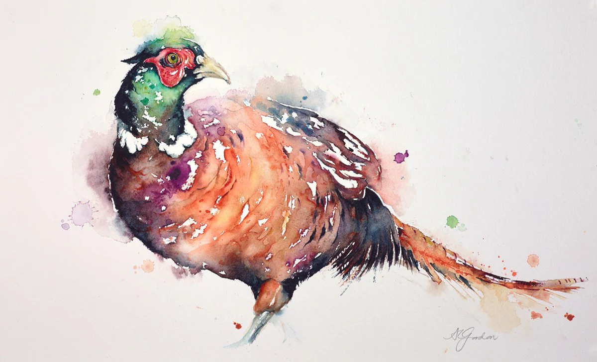 Fancy Pheasant - Image 2