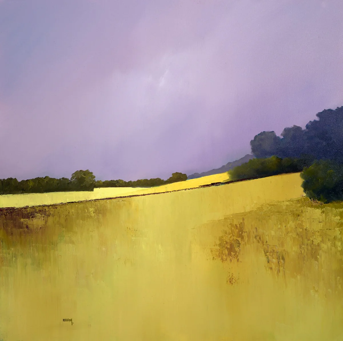 Fields Of Corn - Image 2