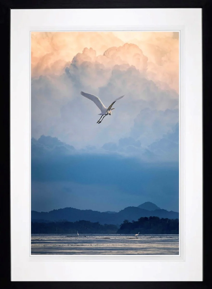 Flight Of Fancy