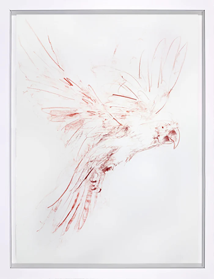 Flight Study I