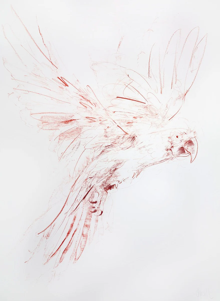 Flight Study I - Image 2