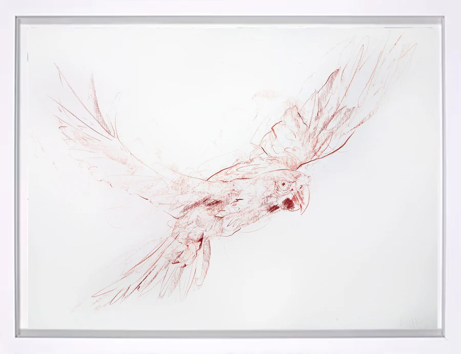 Flight Study II