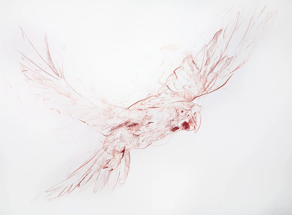Flight Study II - Image 2