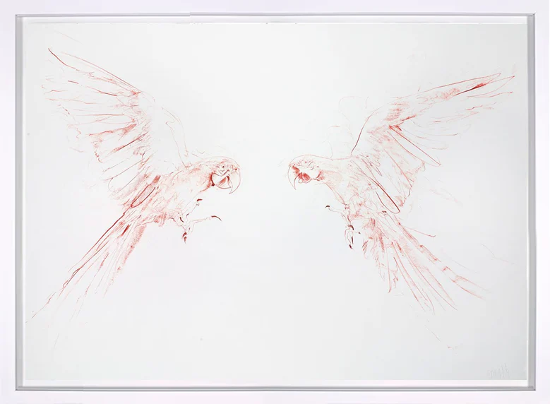 Flight Study III