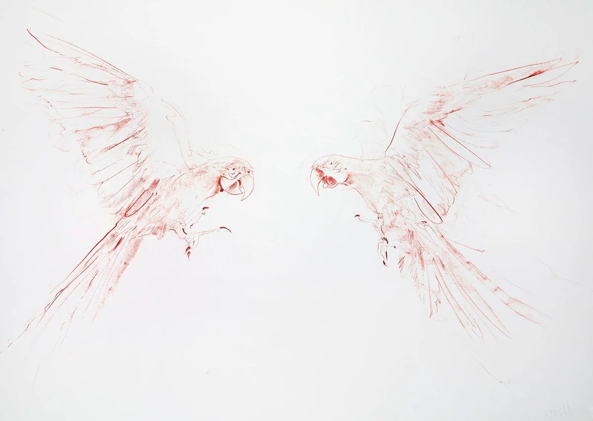 Flight Study III - Image 2