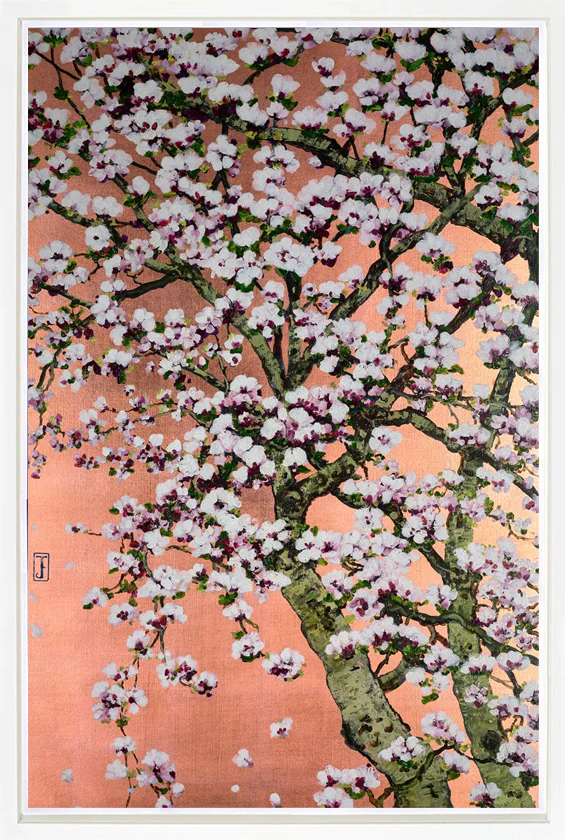 Flowering Oshima Cherry Blossom