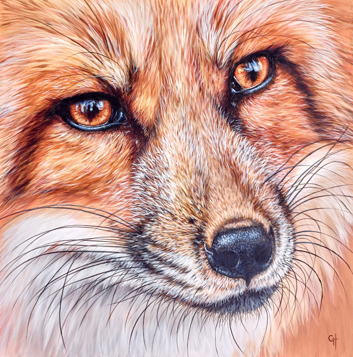 Focused II - Image 2