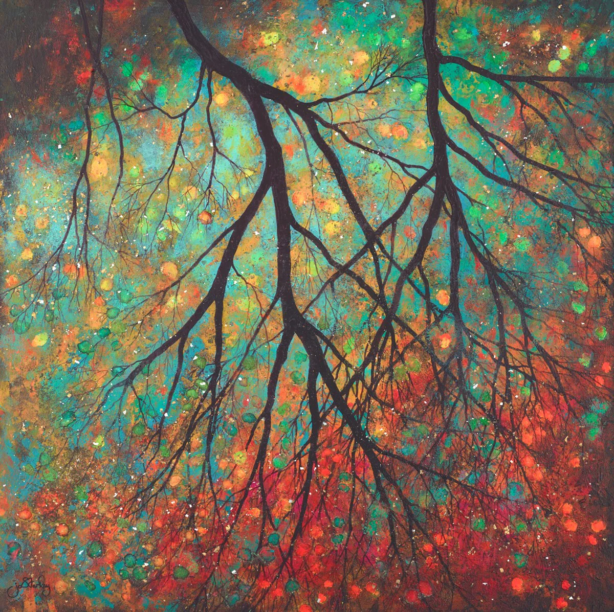 Forest Lanterns