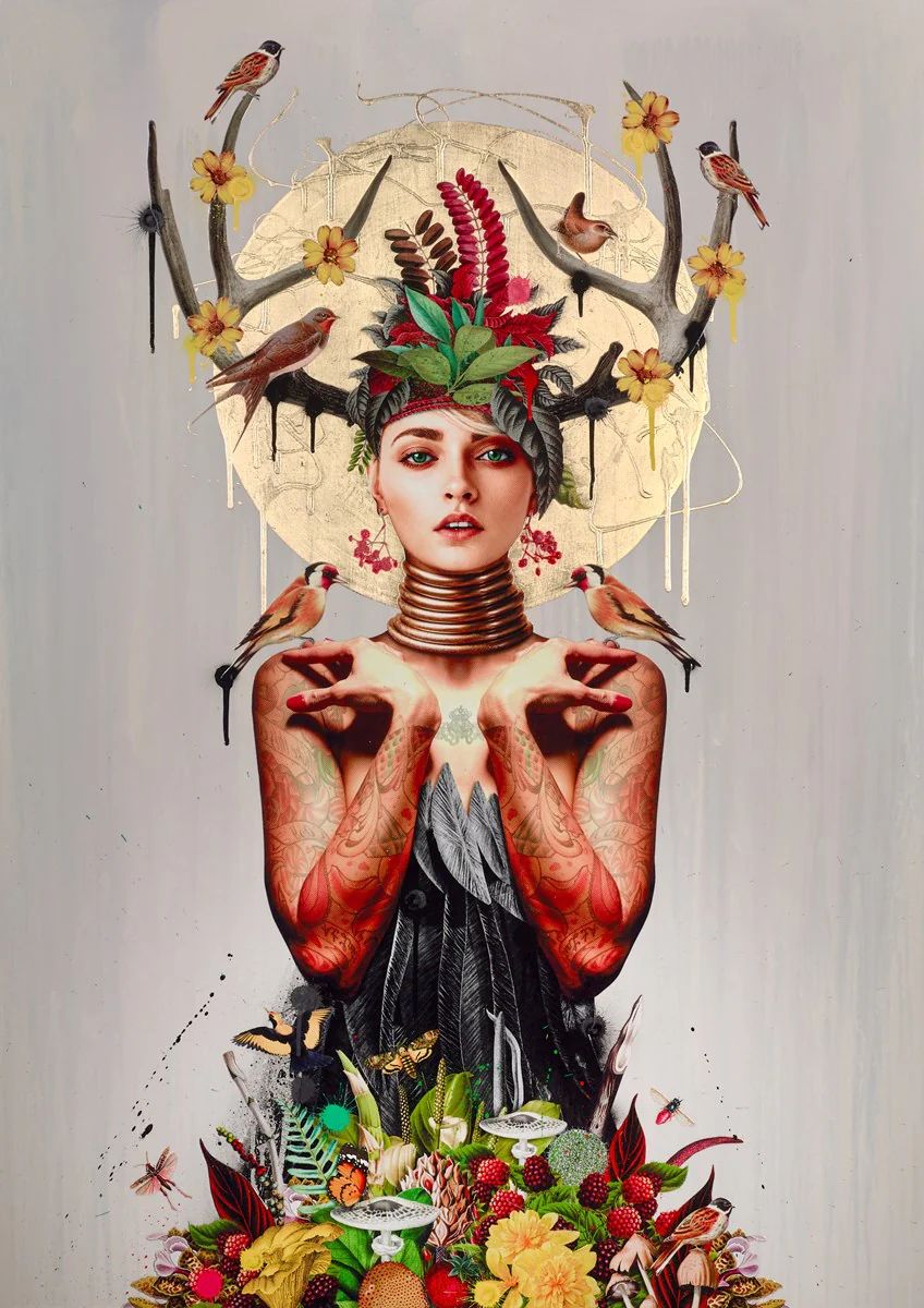 Forest's Dawn - Image 2