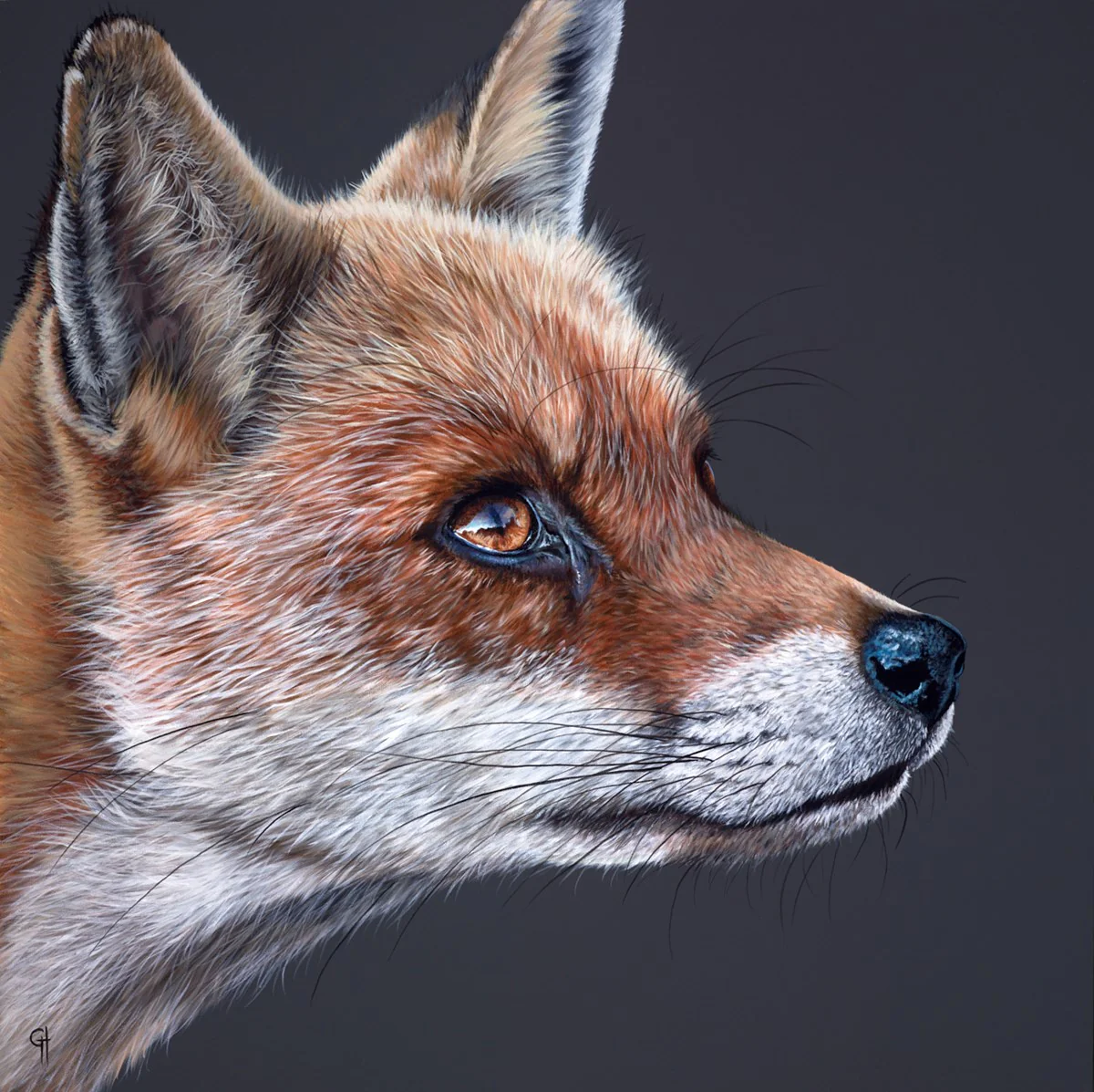 Fox II - Image 2