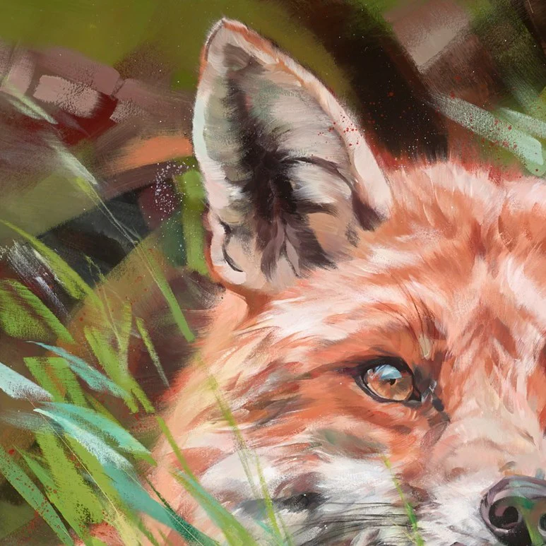 Fox In Long Grass - Image 3