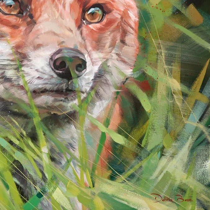 Fox In Long Grass - Image 4
