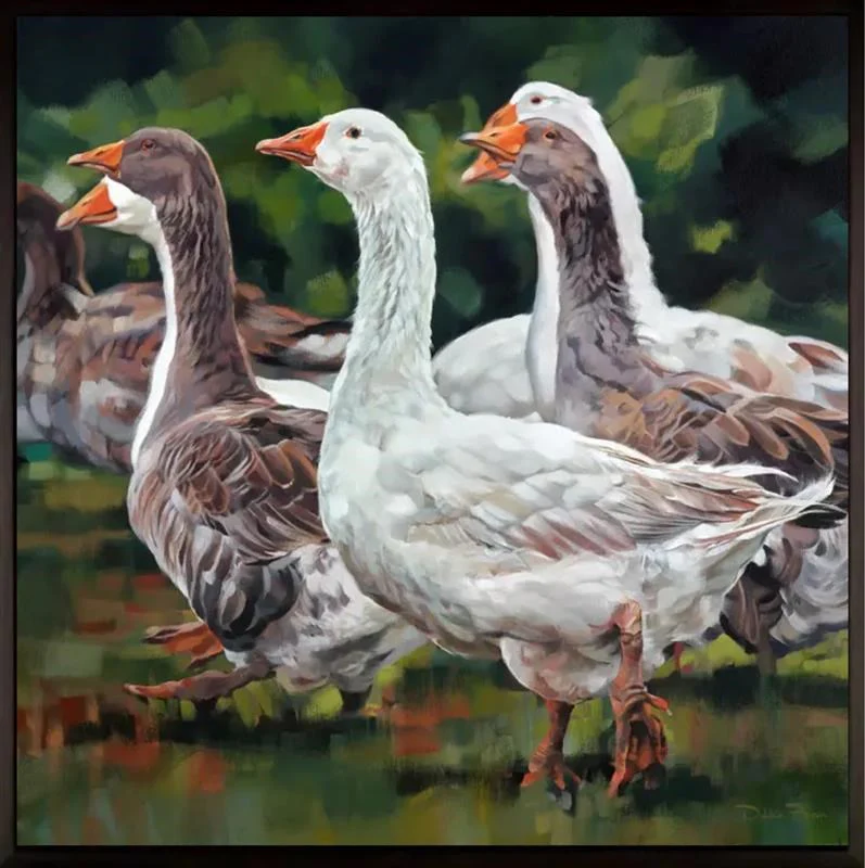 Gaggle Of Geese