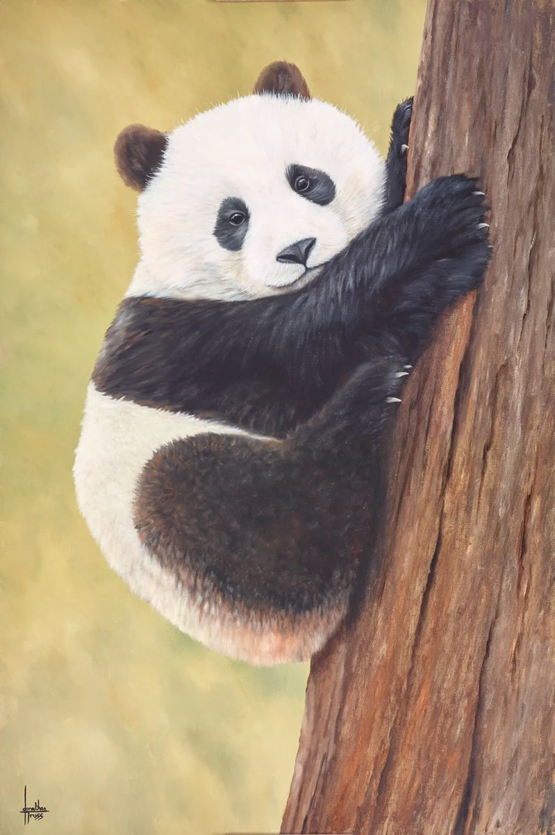 Get A Grip, Baby Panda