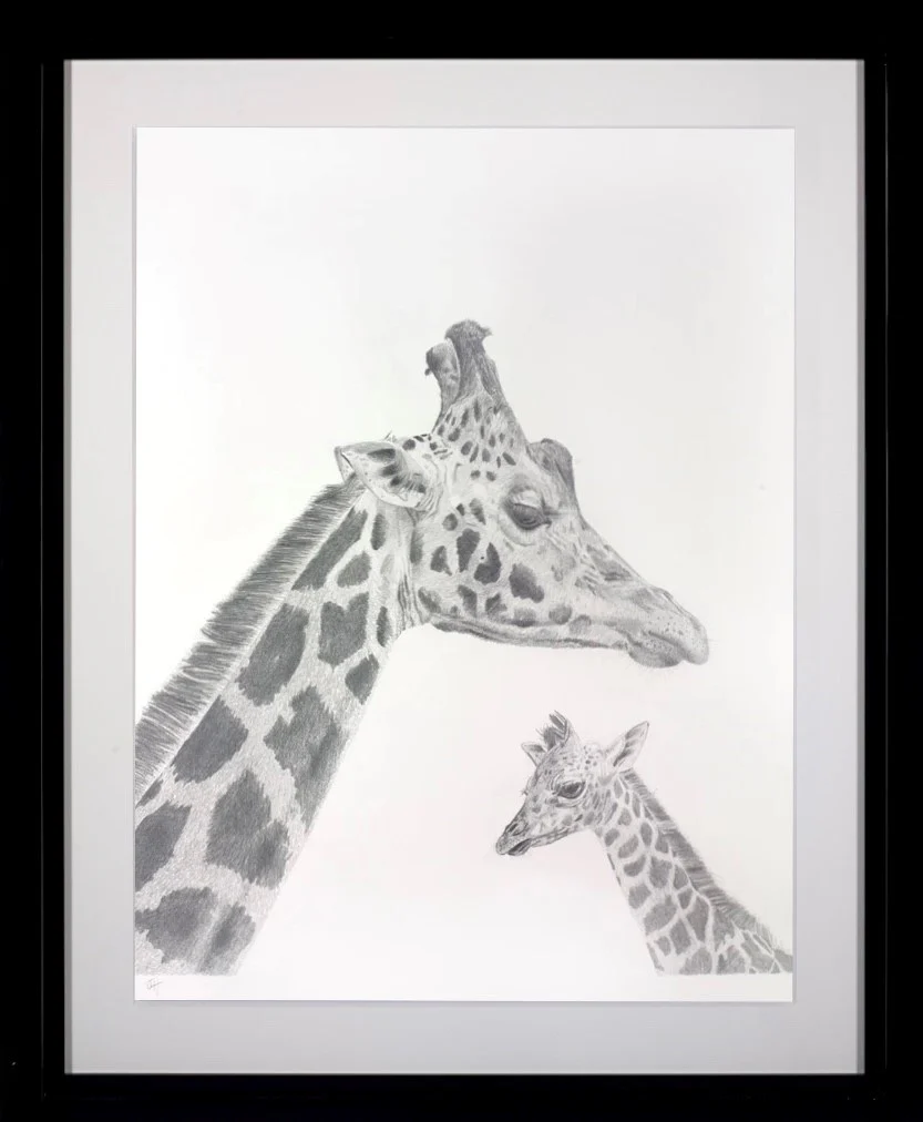 Giraffe Study