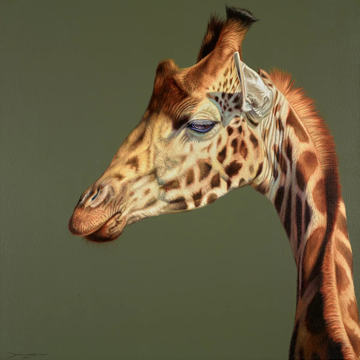 Graceful Curve - Image 2