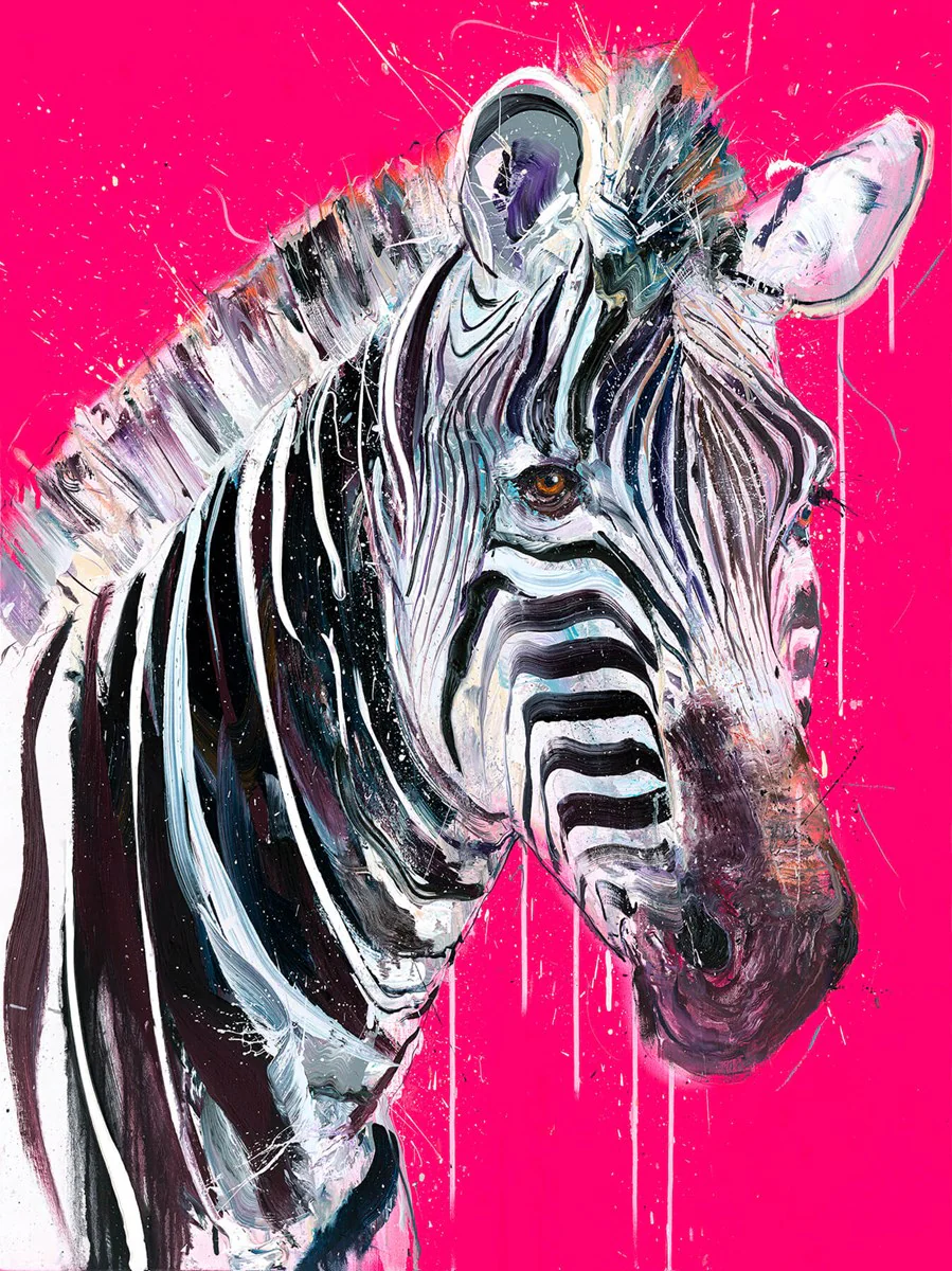 Grevy's Zebra I - Image 3